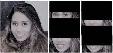 人臉識(shí)別新突破：就算遮住半張臉也能100%被識(shí)別(圖4)