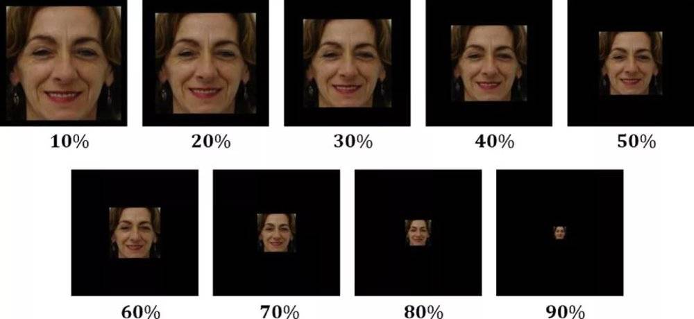 人臉識(shí)別新突破：就算遮住半張臉也能100%被識(shí)別(圖15)