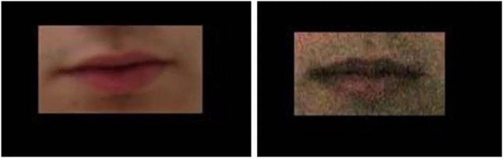 人臉識(shí)別新突破：就算遮住半張臉也能100%被識(shí)別(圖22)