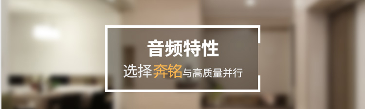 ViewPoint 8066 華為視頻會議終端(圖5)