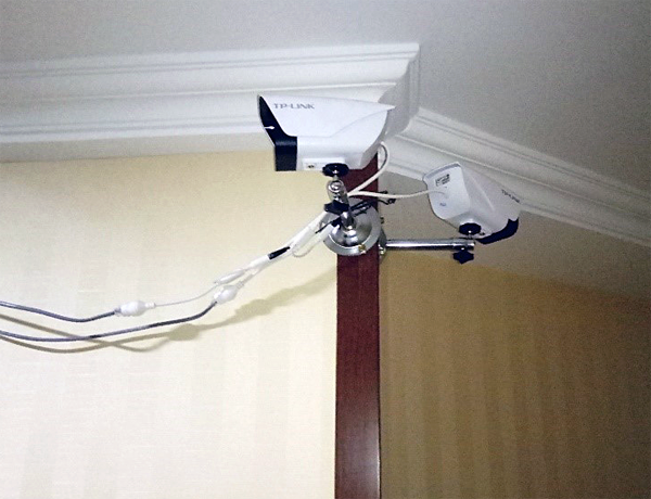 上海奉賢溪雨觀(圖3)