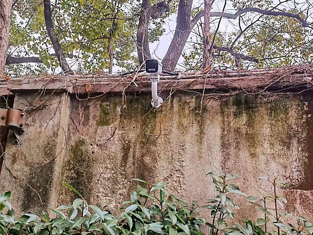 上海楊浦區(qū)小區(qū)《全彩高清監(jiān)控28路》項目(圖4)